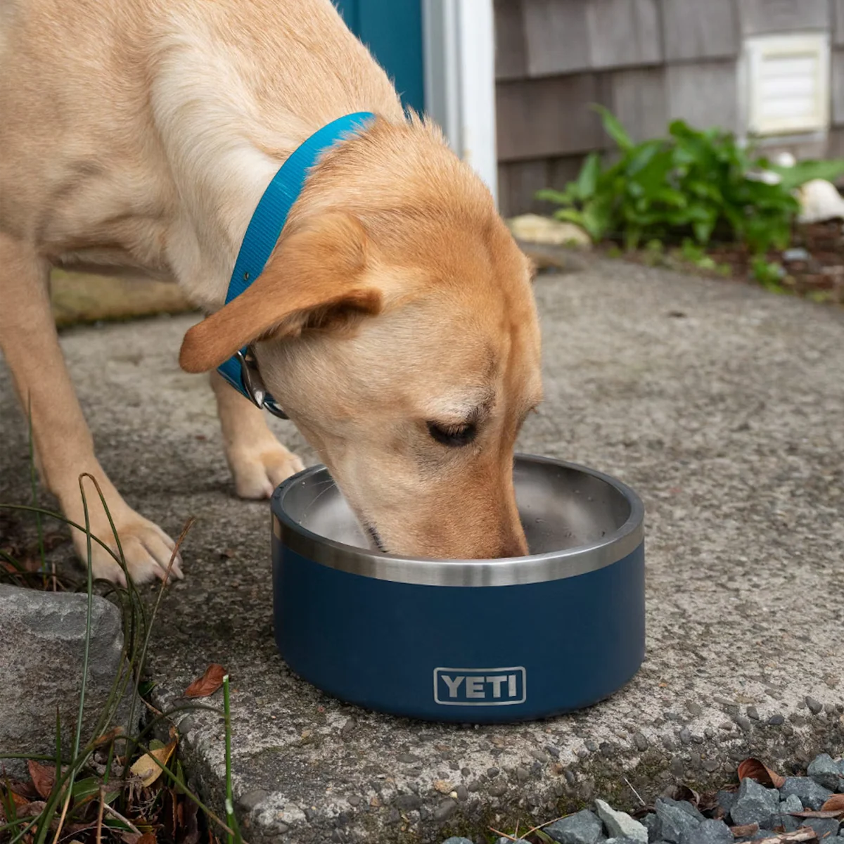 Boomer 8 Dog Bowl - Image 14